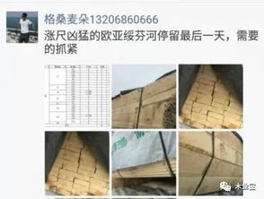 履約思源，不忘初心 2017年11月11日精品木材銷售信息速遞