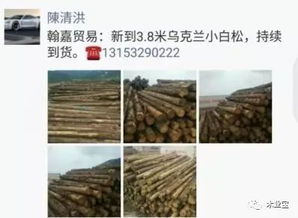 履約思源，不忘初心——精品木材銷售啟事